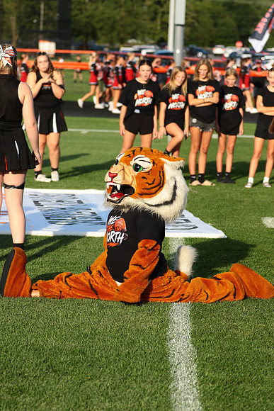 IMG_8245