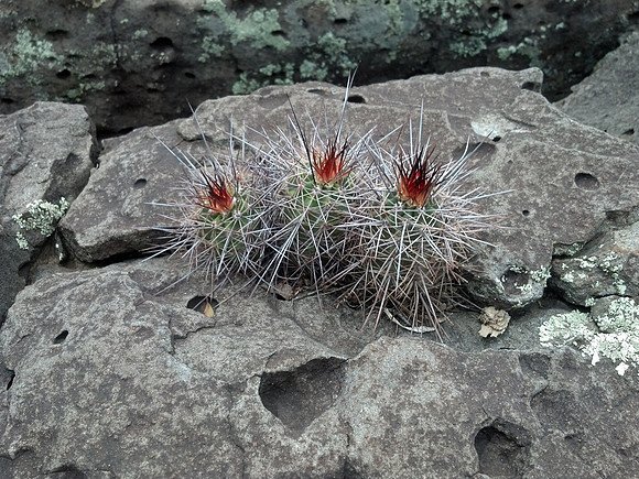 2013-07-31 10.32.19