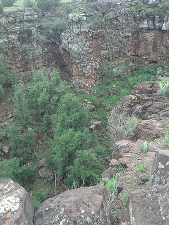 2013-07-31 10.47.46