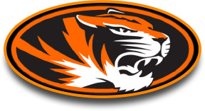 nu wildcat logo